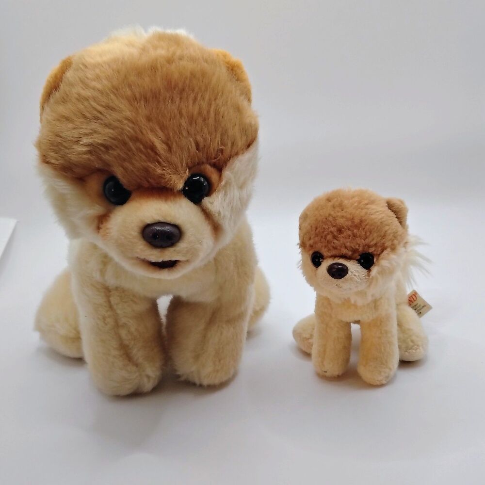 Gund Boo Pomeranian Dog Plush Cream Brown 10" The World's Cutest Dog  With Itty
